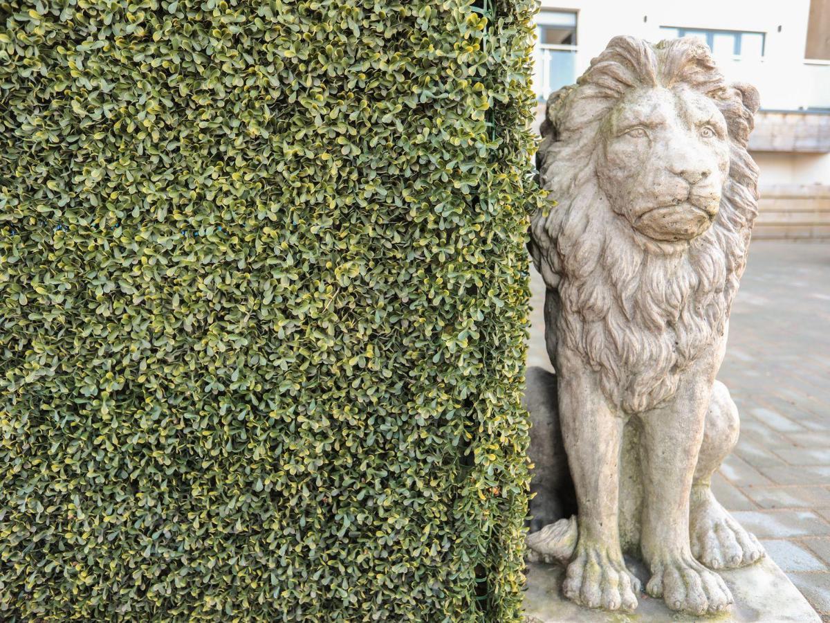 Bryn Min Manton Apartment Caernarfon Zewnętrze zdjęcie